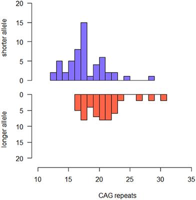 CAG Repeats Within the Non-pathological Range in the HTT Gene Influence Personality Traits in Patients With Subjective Cognitive Decline: A 13-Year Follow-Up Study